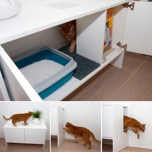 arenero para gatos en mueble. Casa de mascotas . Casa con mascotas
