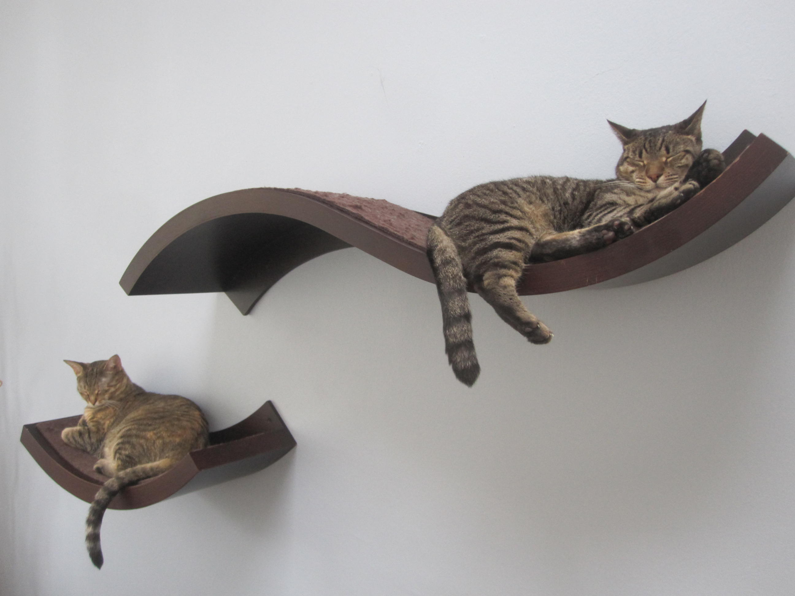 gATOS EN CASA. Muebles para gatos. Gatos y decoracion 