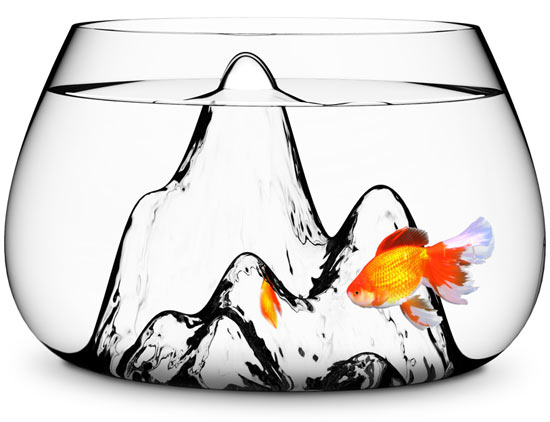 fishscape fishbowl. Pecera de Aruliden para Gaia e Gino