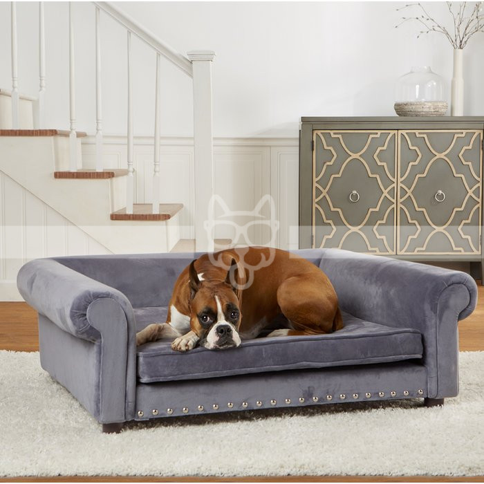 sofas a medida para mascotas. cómo elegir el sofá perfecto